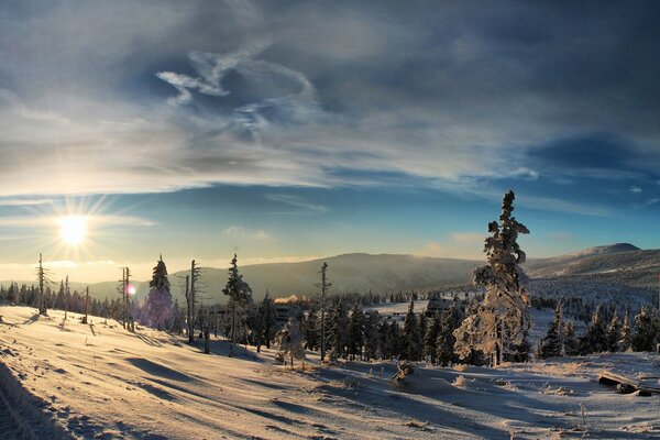 Soleil d hiver sur le versant de la montagne