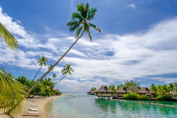 Tropical beach. Azure water