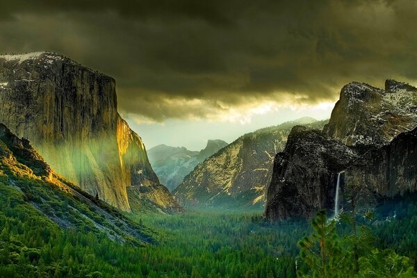 Berge und Wald im Yosemite Nationalpark