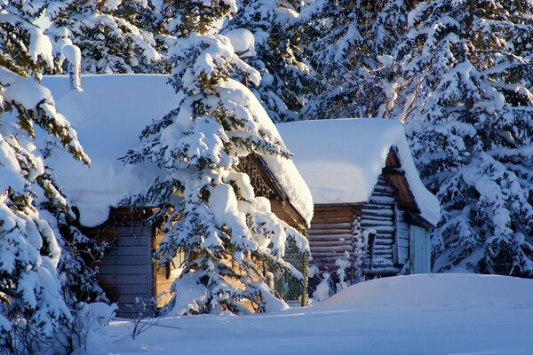 Snow-covered houses in the forest. Ate in the snow