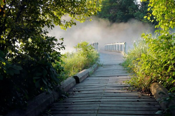 Pont brouillard énigme