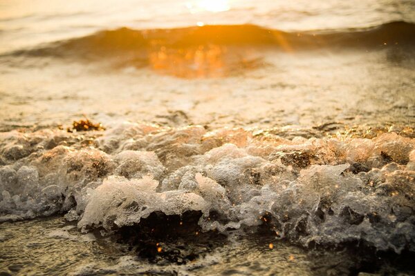 Bord de mer avec des vagues