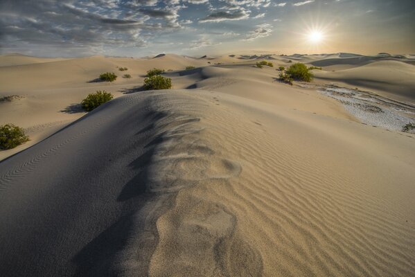 Sanddünen in der stillen Wüste