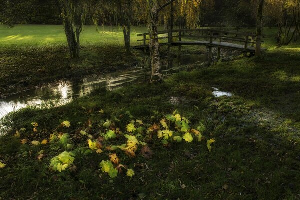 A modest wooden bridge over a narrow stream