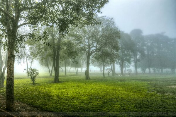 They say you can see yourself in the fog