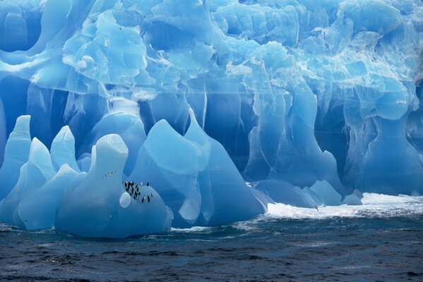 I pinguini sono usciti dal mare per rilassarsi sul ghiacciaio