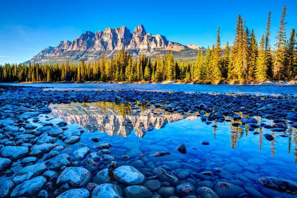 Lac, forêt et montagnes. Belle nature