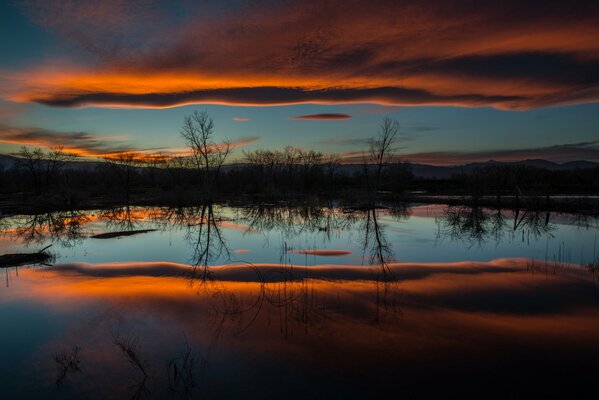 Nature dans la nuit près du lac au coucher du soleil