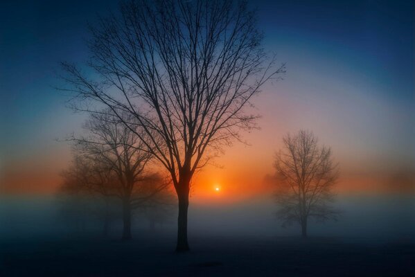 Amanecer de otoño en la niebla