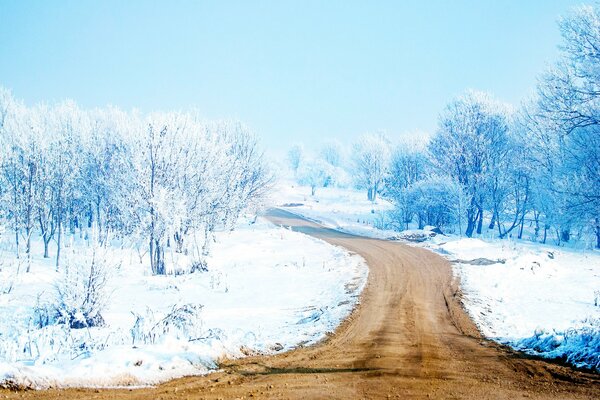 Der Weg im Winter. Schneebedeckte Bäume