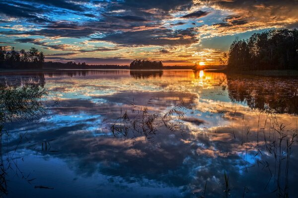 Reflection of trees and sky in water