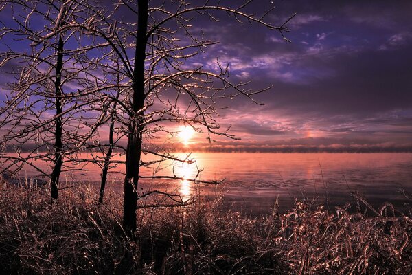 Puesta de sol en el bosque helado cerca del lago