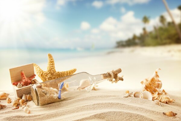 A bottle with a message on the white sand of the beach by the sea. Starfish. Shells