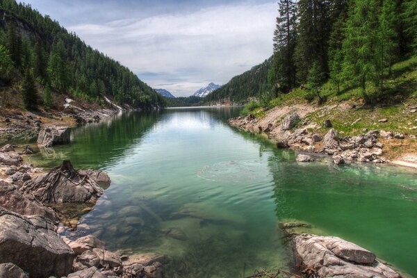 Río de montaña transparente con increíble naturaleza bosques laderas y grandes piedras