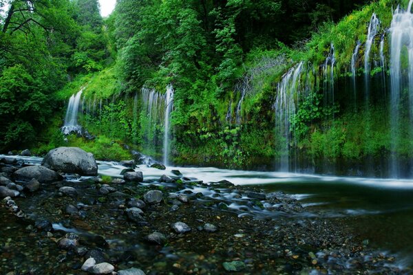 Kalifornische Wasserfälle. Viel Grün