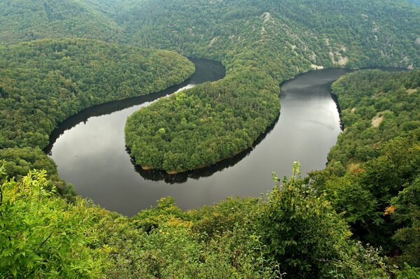 A beautiful river in a green forest