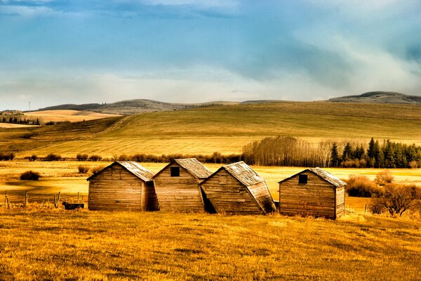 Old sheds among the fields