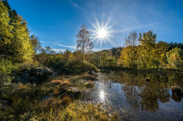 Un lago en el bosque como una perla rara