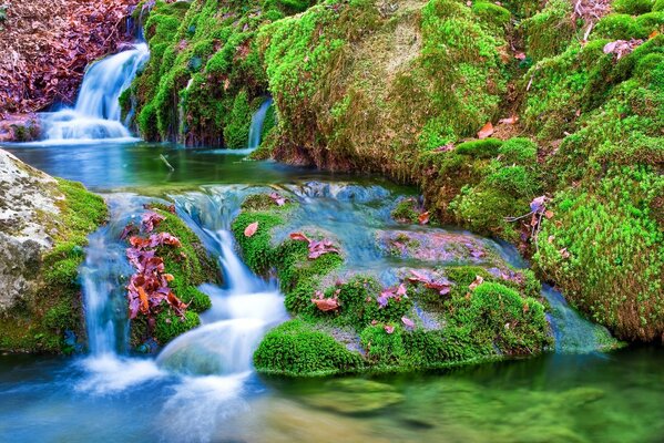 Ein Fluss zwischen Steinen und Blättern