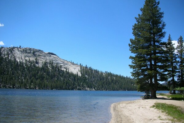 Natur des Yosemite Nationalparks