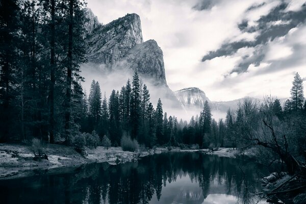 Krajobraz Park Narodowy Yosemite