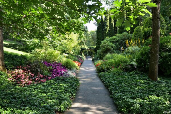 Un camino a través de un Jardín verde