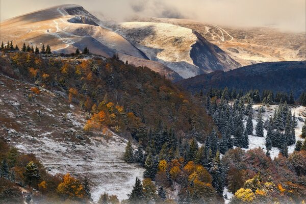 Осенние пейзаж. Краски осени