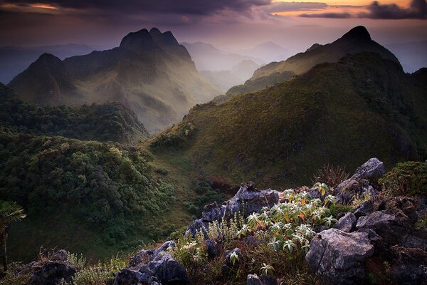 View of vegetation and mountains of Thailand