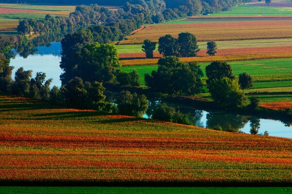 Colorful fields near the river