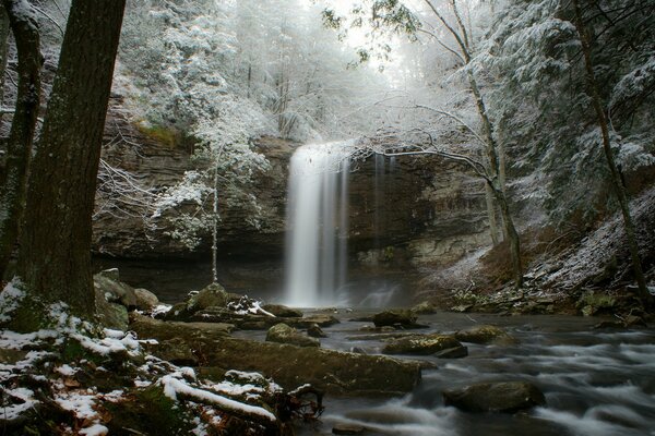 Foresta invernale con cascata di inondazione nel fiume