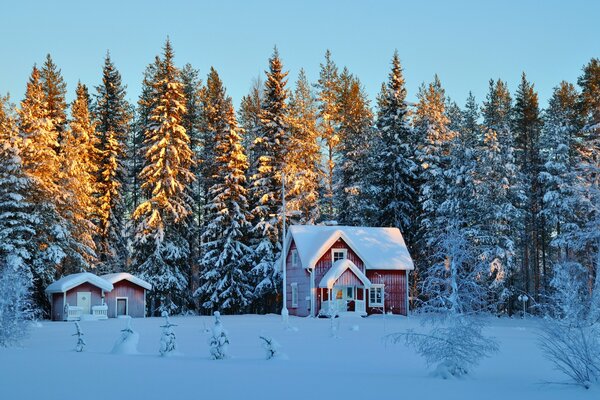 Ruhiges Haus am Rande des Winterwaldes