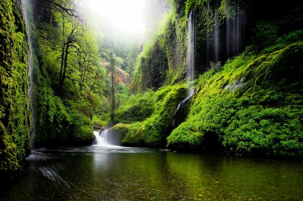 Frühlingsnatur. Wasserfall in den USA