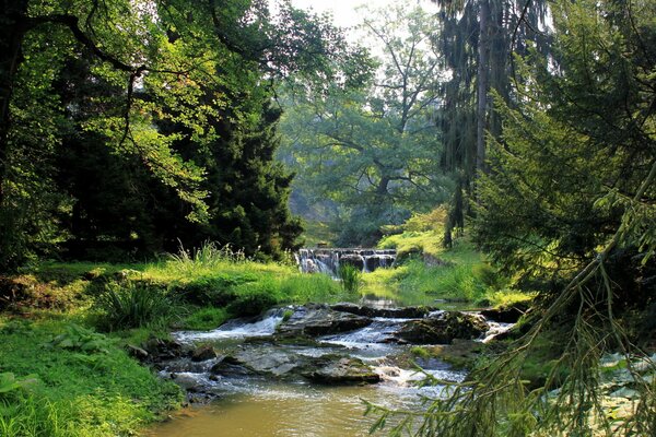 Wasserfall und Fluss im Wald mit einzigartiger Schönheit