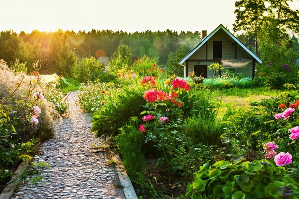 Der Weg des Landgrundstücks mit Blumen