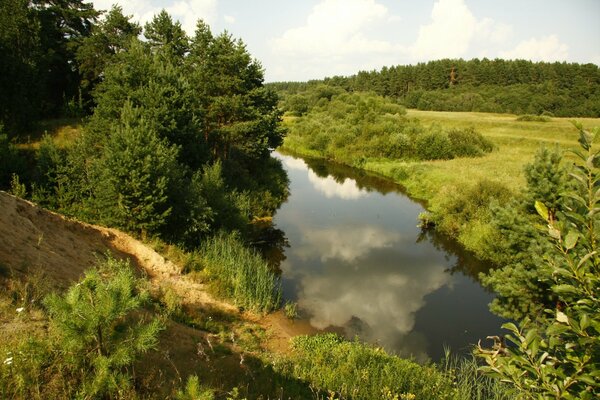 Grünes Gras, Bäume und Fluss