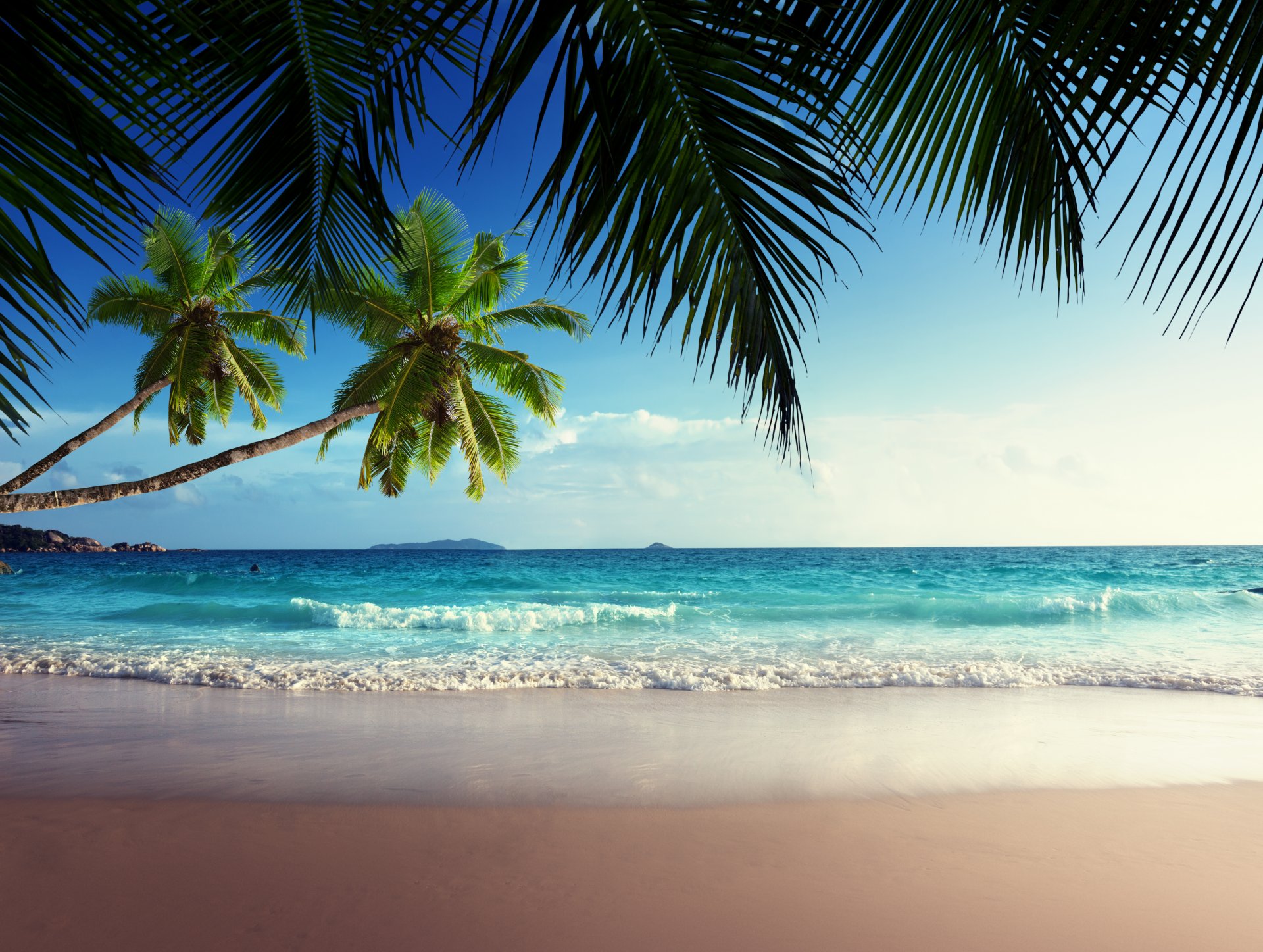 tropical paradise sun beach coast sea sky blue emerald ocean palm summer sand vacation tropics coast palm tree