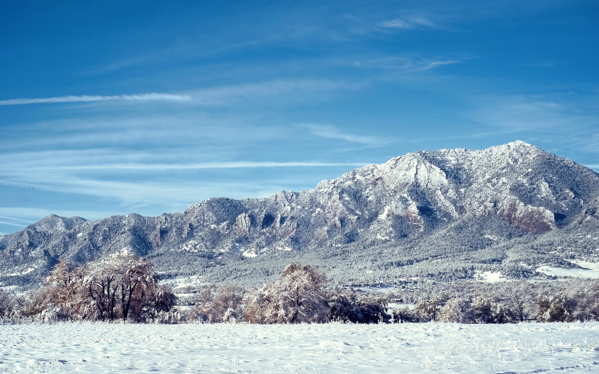 colorado montagne neve alberi