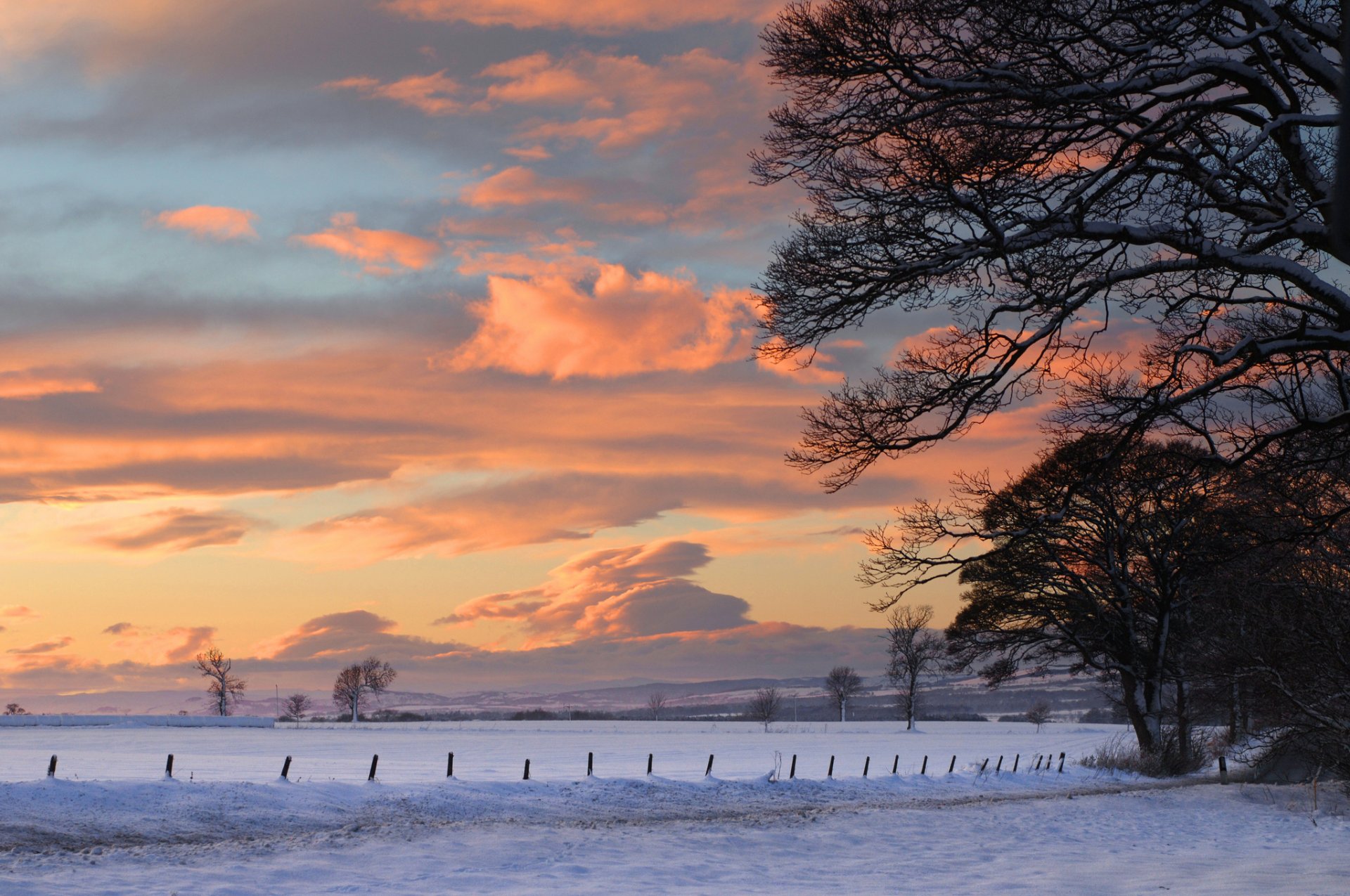 nature paysage coucher de soleil hiver neige arbres