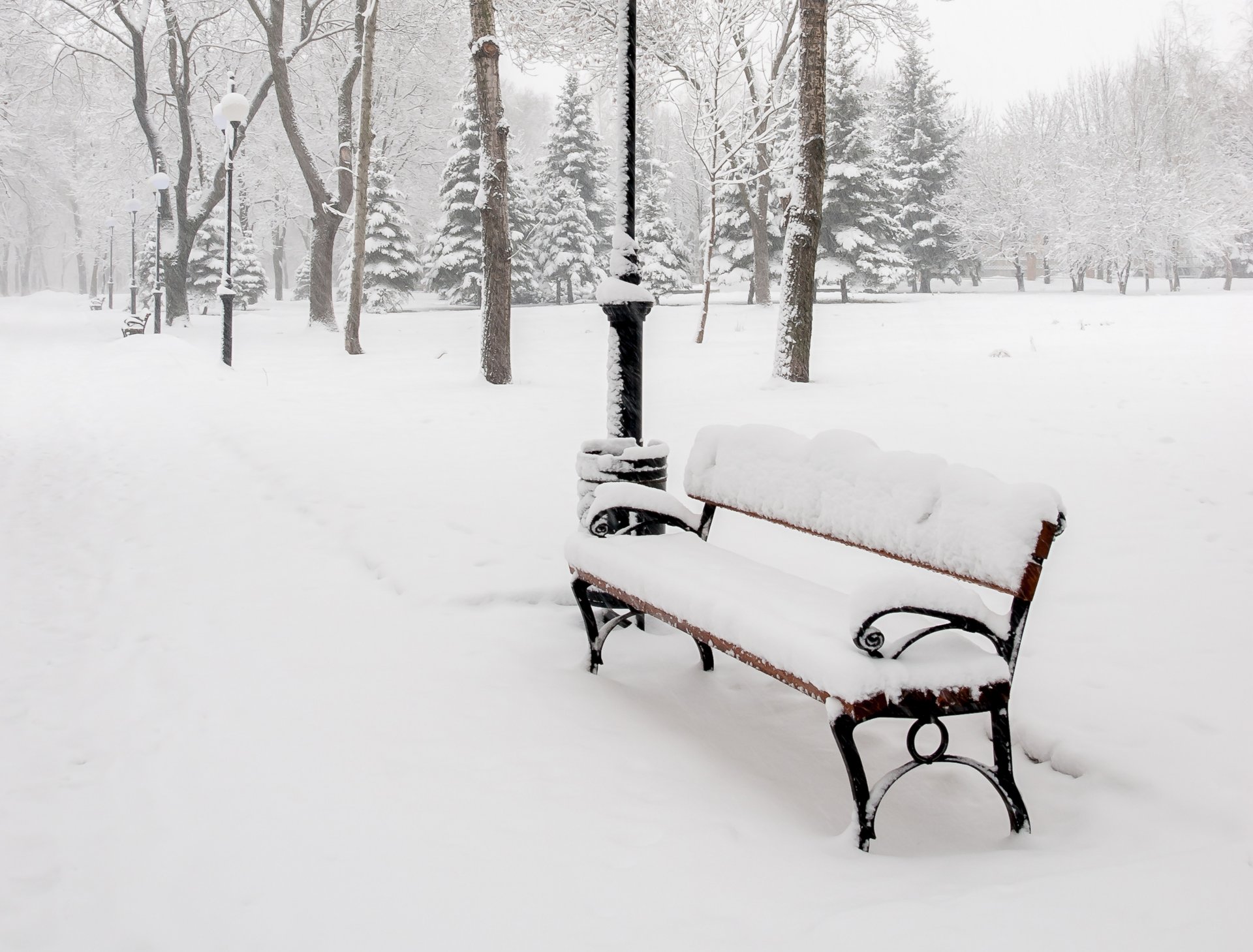 bench bench bench bench alley park trees lanterns nature snow winter