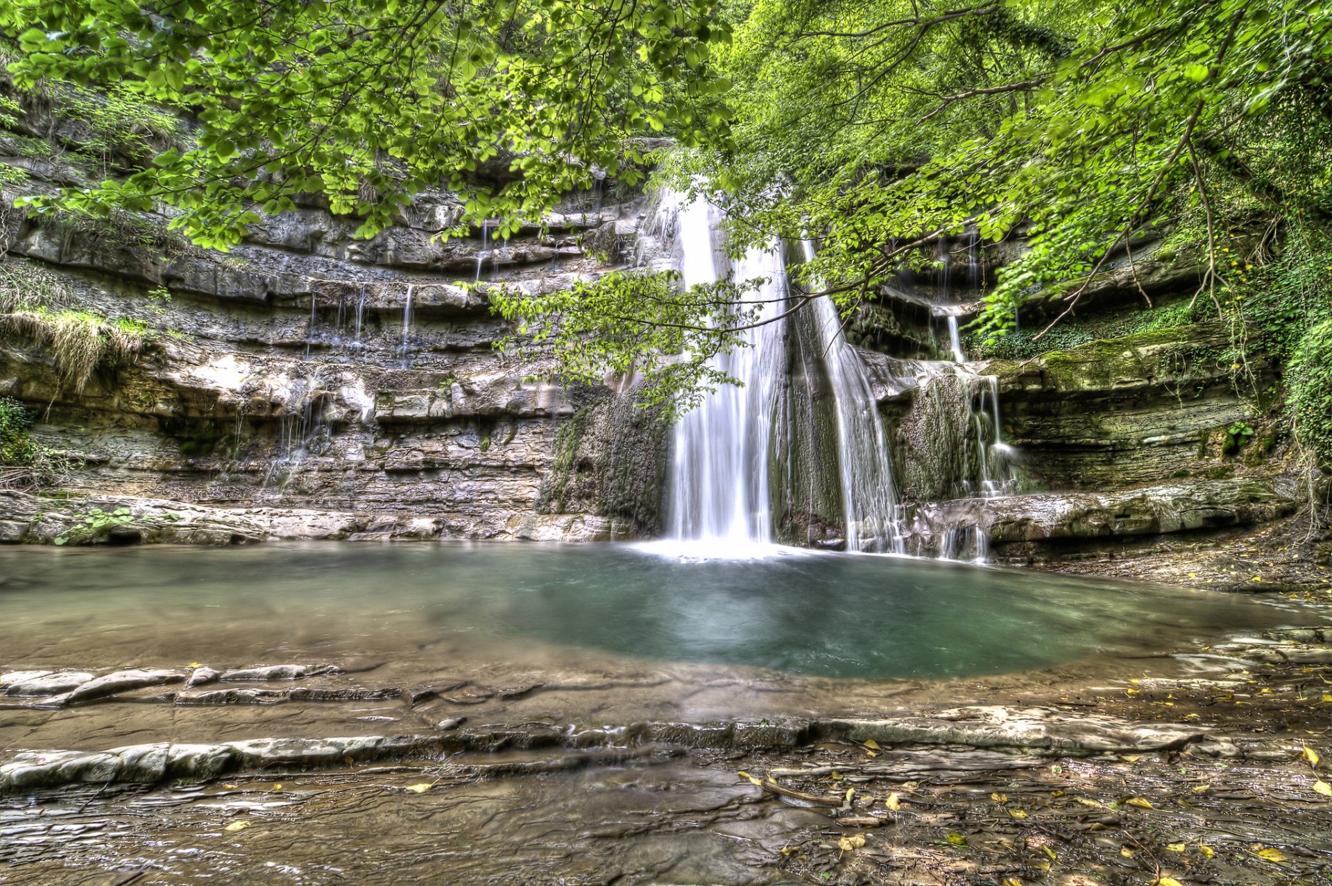 waterfall rock tree