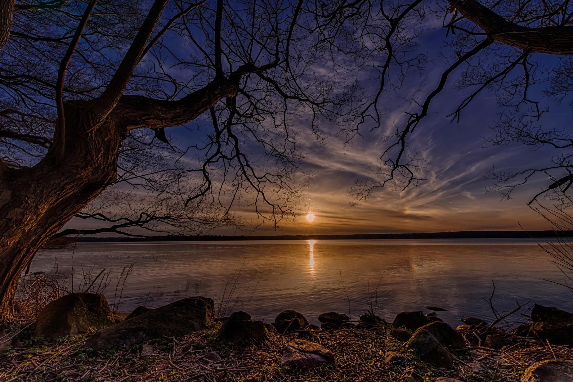 lac arbres soleil danemark