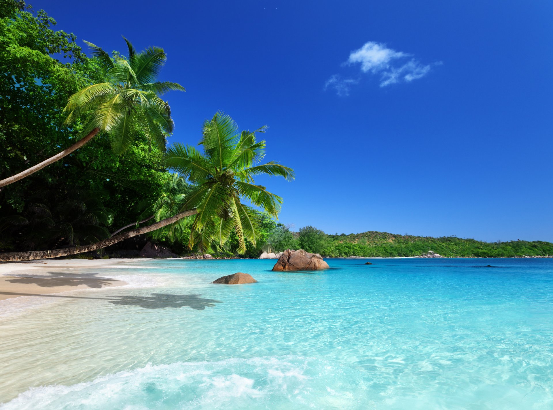 tropical paradise sun beach coast sea sky blue emerald ocean palm summer sand vacation tropics coast palm tree