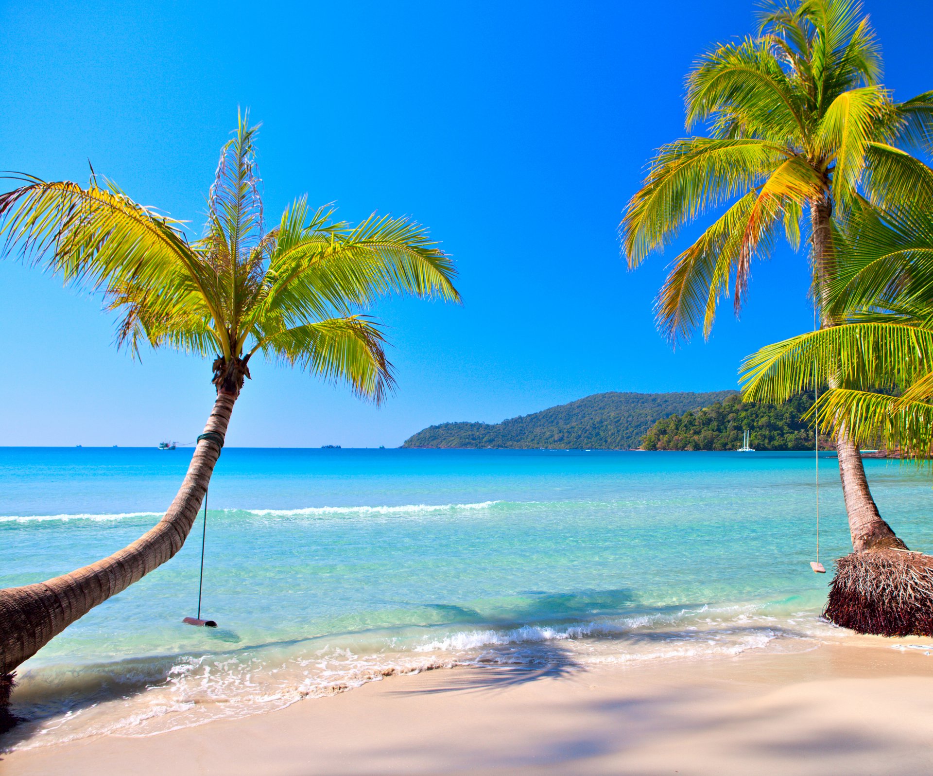 tropical paradis plage côte mer bleu émeraude océan palm été sable loisirs tropiques soleil île rivage