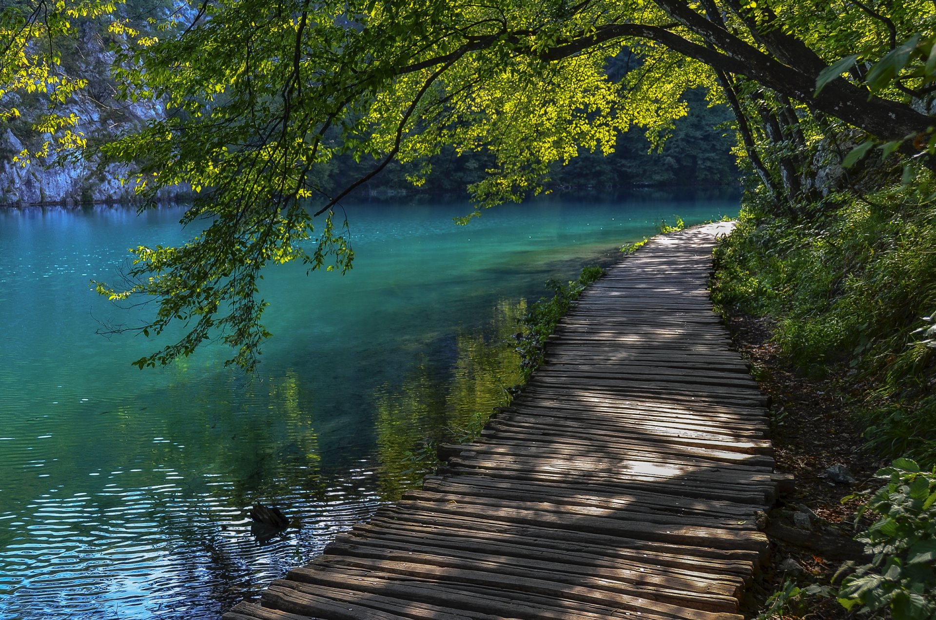 croatia plitvice lakes tree track baggage water summer