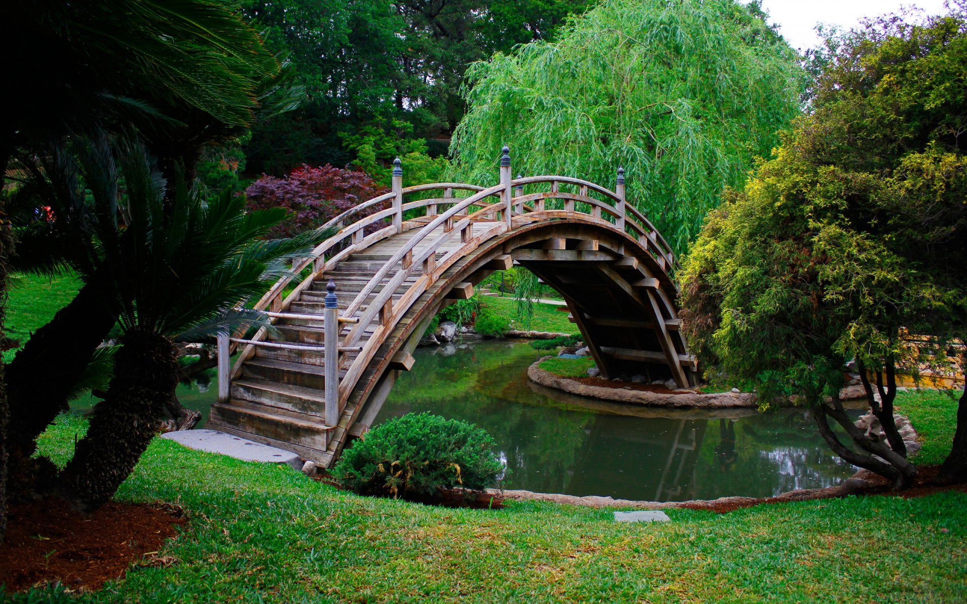 park tree bridge water grass