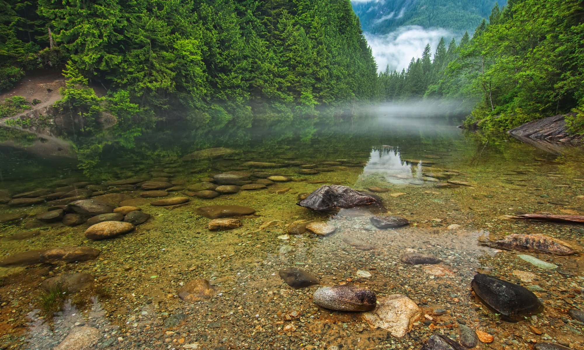 columbia británica canadá montañas bosque árboles río lago rocas niebla