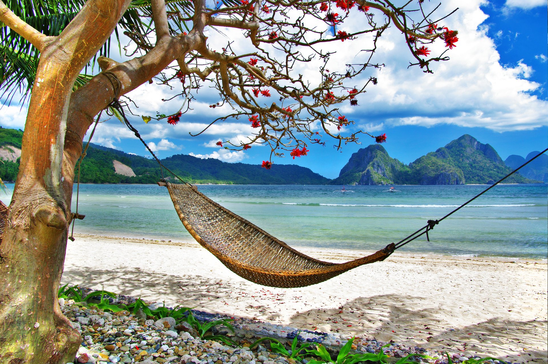 tropical relax cama árbol verano montaña mar paisaje naturaleza tropical relax verano hermosa