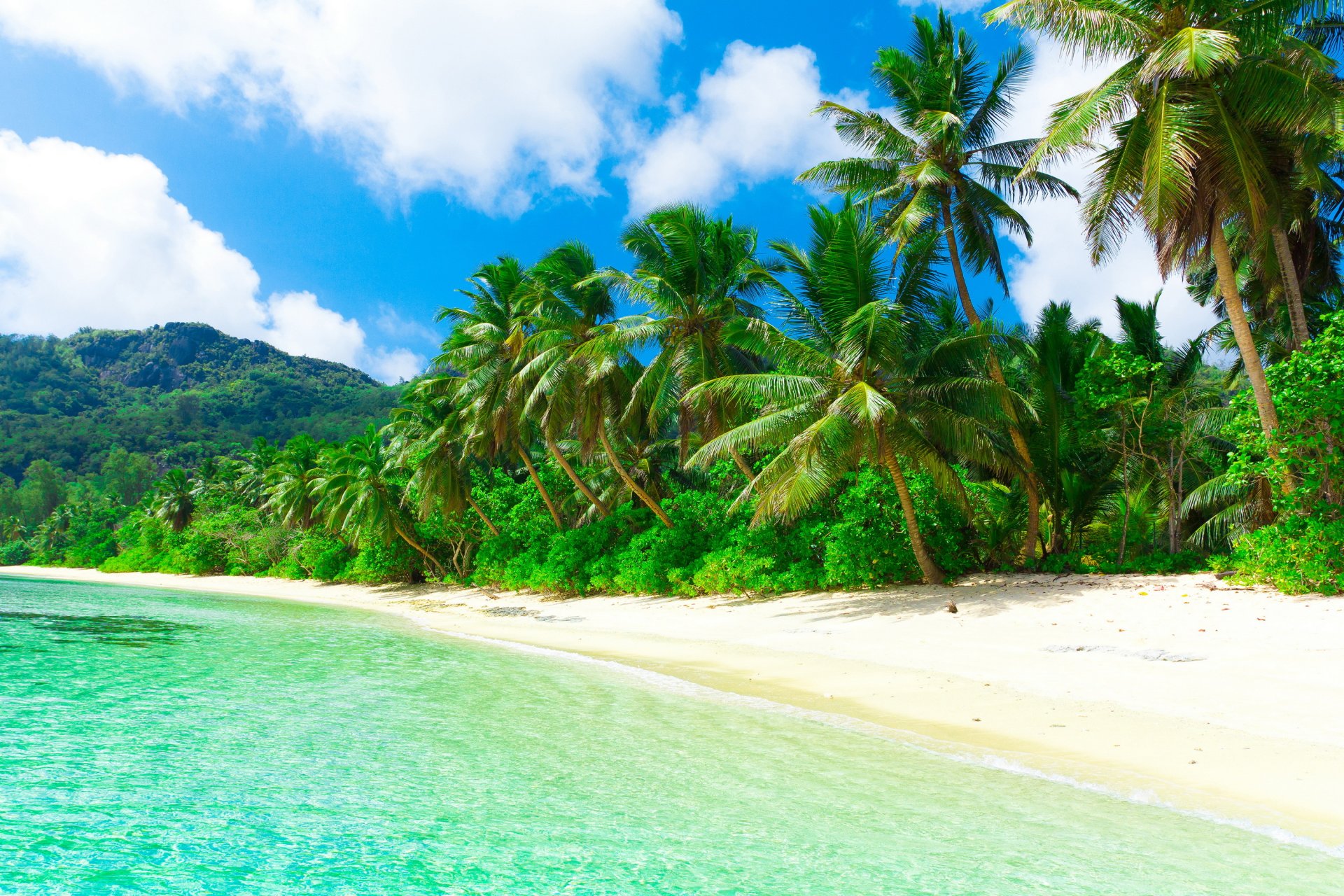 tropical paradise beach coast sea blue emerald ocean palm summer sand vacation tropics sun island shore palm tree