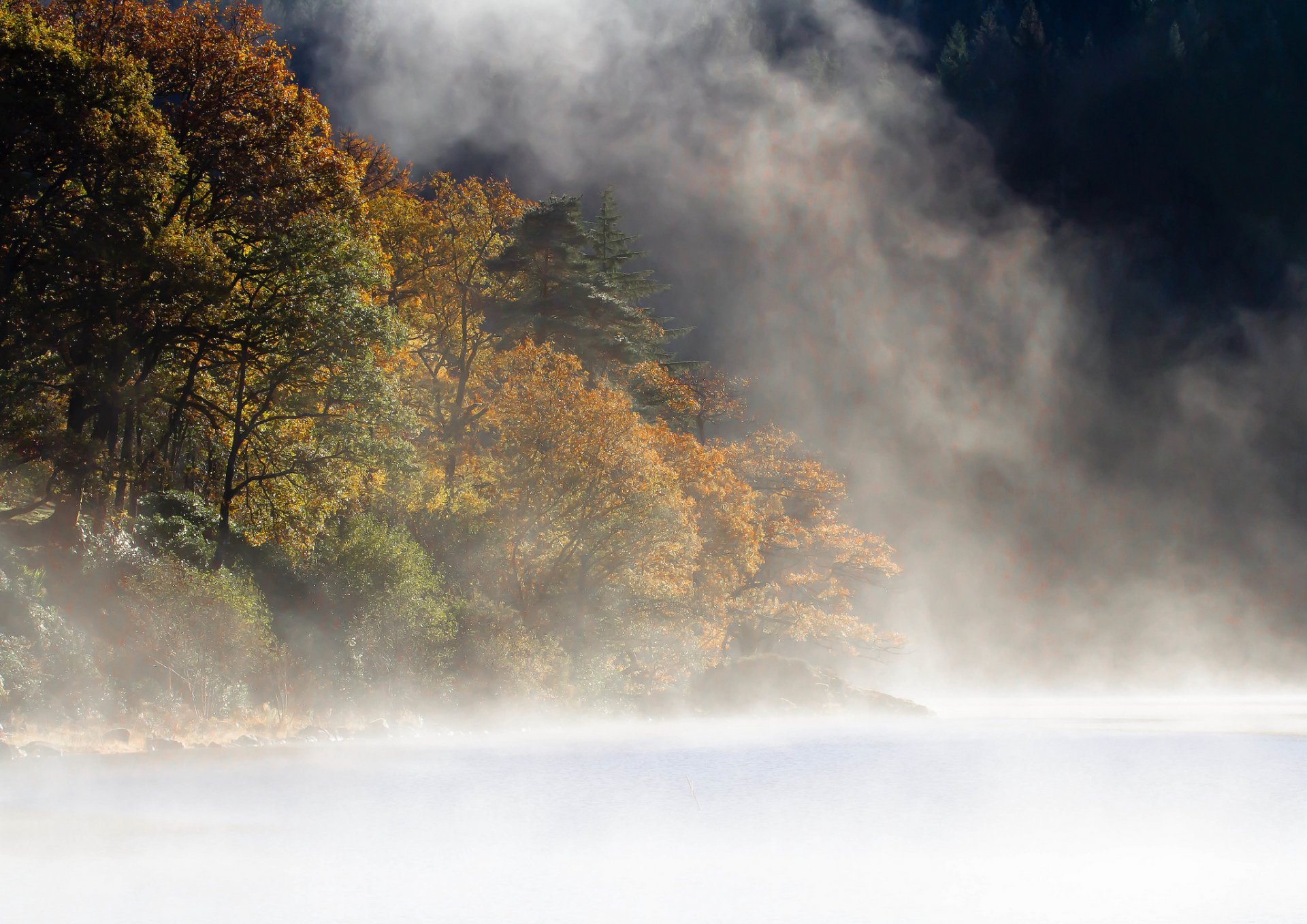 berge wald see nebel