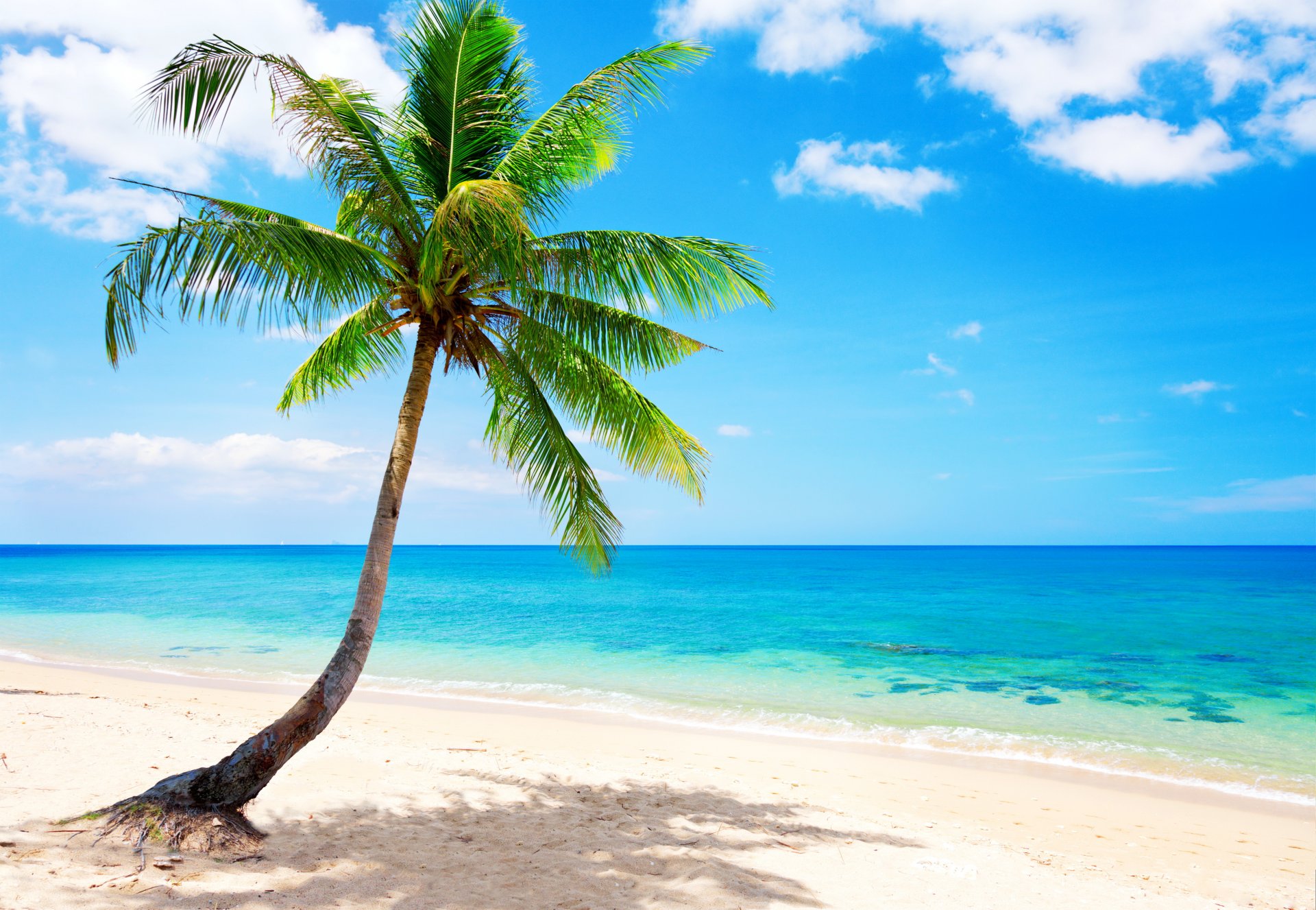 tropisch paradies strand küste meer blau smaragd ozean palm sommer sand urlaub tropen sonne insel küste